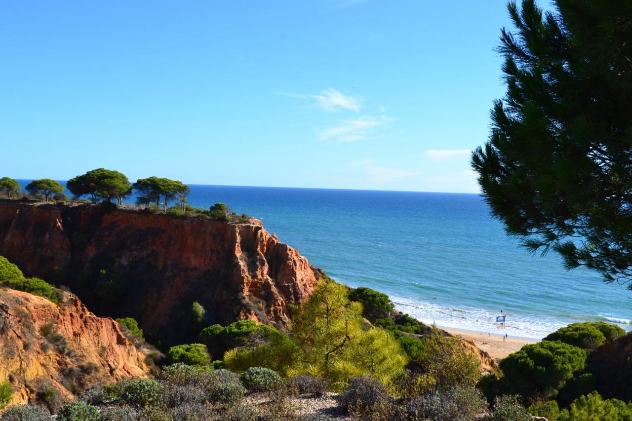 T0 Junto A Praia De Vale Centeanes / Carvoeiro Lagoa  Exterior foto